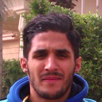 Wael Chibiani